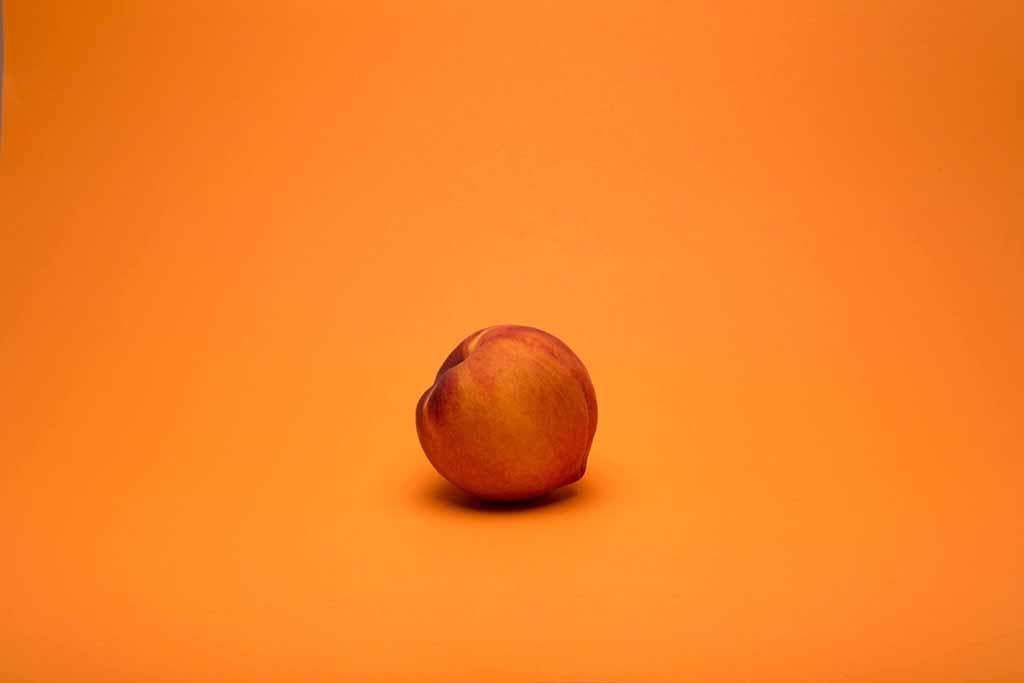 Pêche sur un fond orange