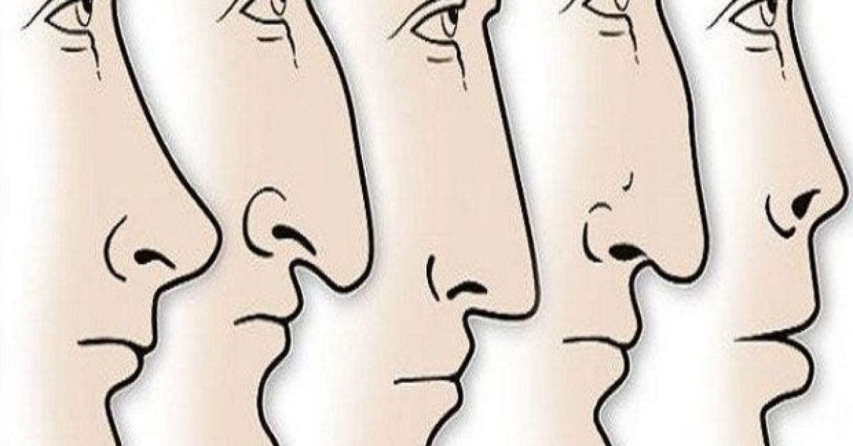 Ce que la forme de votre nez révèle sur votre personnalité