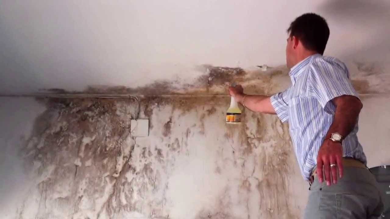 Enlever des taches d’humidité sur le mur Enlever des taches d’humidité sur le mur